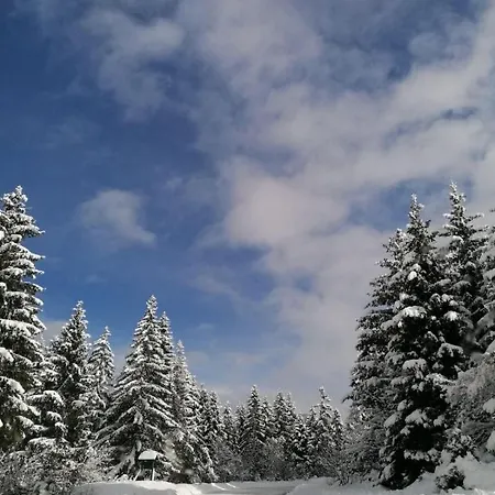 Lara U248 Apartamento Jahorina